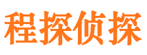 乡城市侦探公司